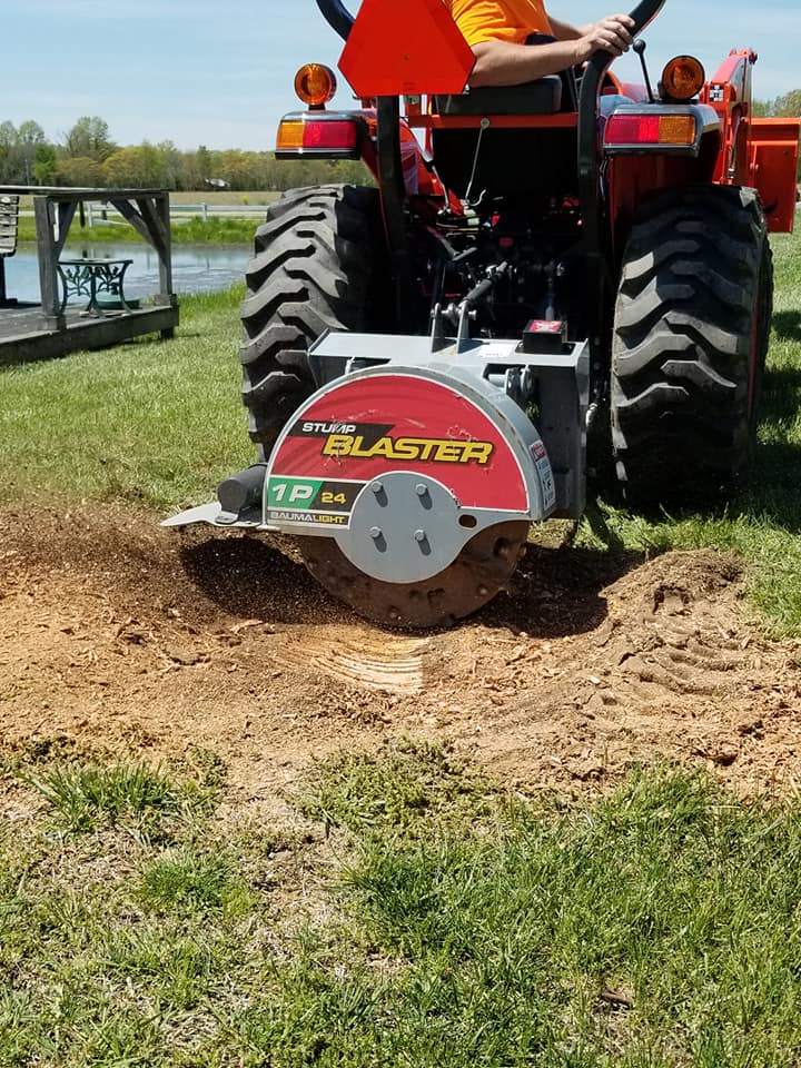 Stump grinding professional service