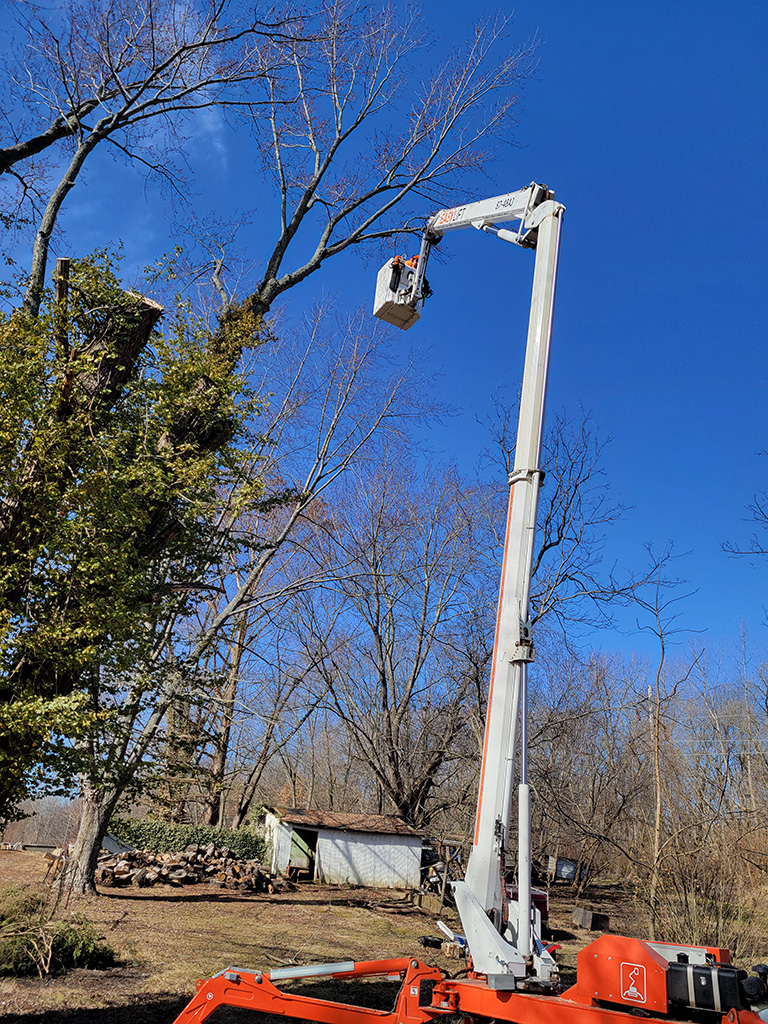 About Ordner's Tree Service